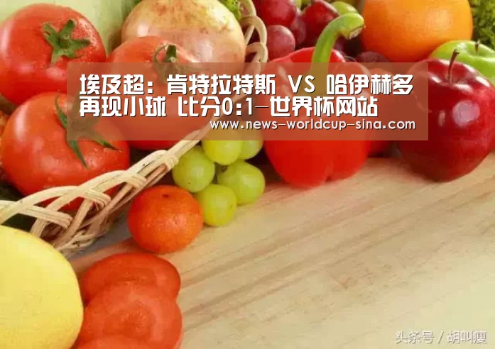 2026世界杯官网