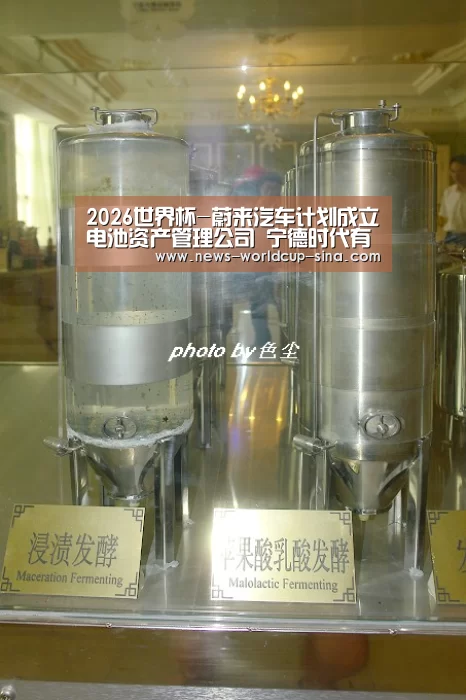2026世界杯