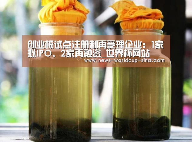 创业板试点注册制再受理企业:1家拟IPO、2家再融资_世界杯网站(图1) 2026世界杯