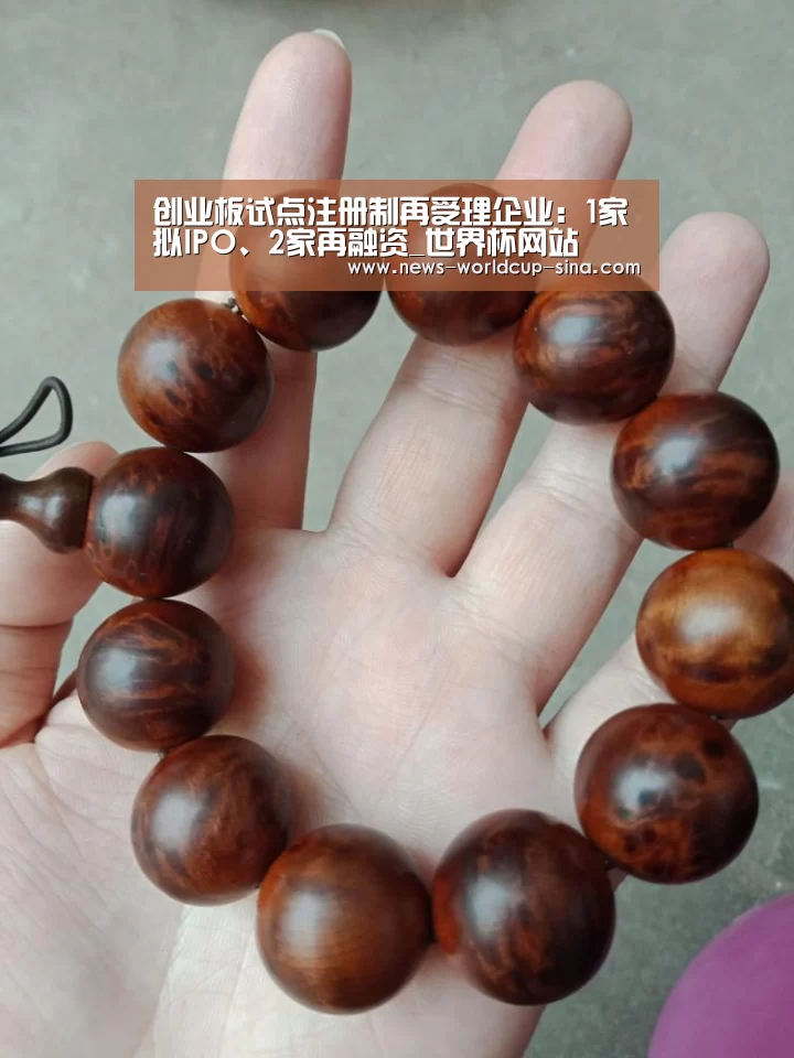 创业板试点注册制再受理企业:1家拟IPO、2家再融资_世界杯网站(图2) 2026世界杯官网