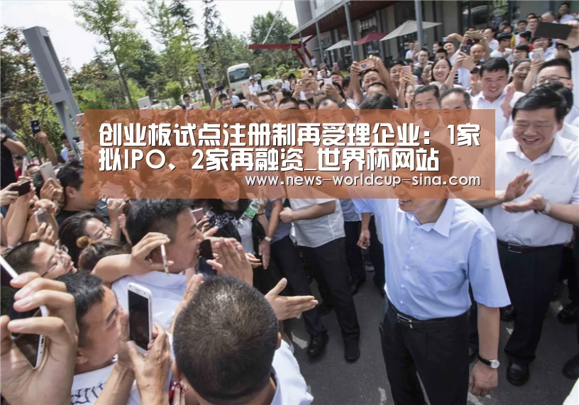 创业板试点注册制再受理企业:1家拟IPO、2家再融资_世界杯网站(图3) 世界杯网站