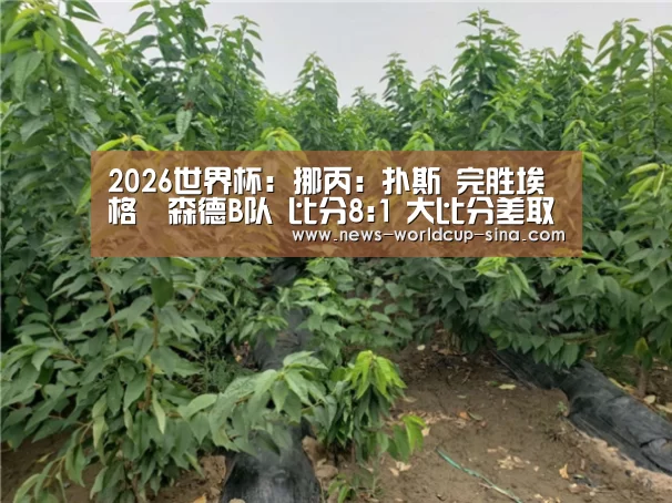 2026世界杯:挪丙: 扑斯 完胜埃格尓森德B队 比分8:1 大比分差取胜(图1) 世界杯网站