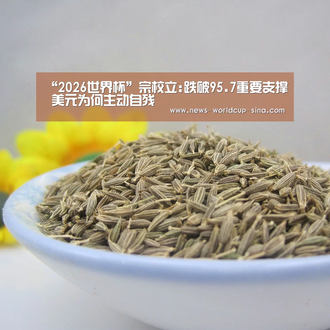 “2026世界杯”宗校立:跌破95.7重要支撑 美元为何主动自残(图2) 世界杯网站