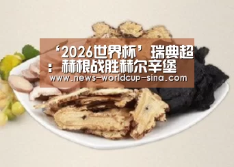 ‘2026世界杯’瑞典超: 赫根战胜赫尔辛堡 比分2:1(图2) 2026世界杯官网
