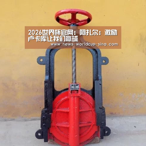 2026世界杯官网:阿扎尔:激励卢卡库让我们赢球(图2) 2026世界杯
