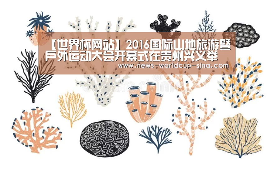 【世界杯网站】2016国际山地旅游暨户外运动大会开幕式在贵州兴义举行(图1) 2026世界杯