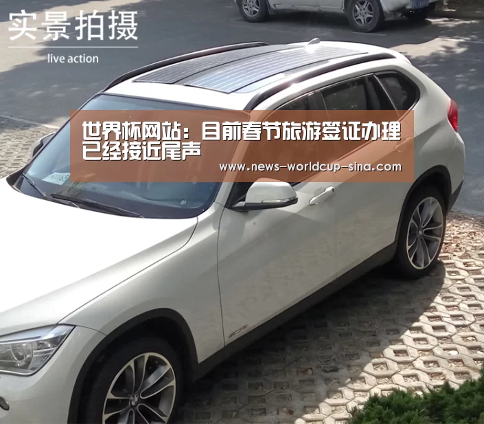 世界杯网站:目前春节旅游签证办理已经接近尾声(图1) 世界杯网站
