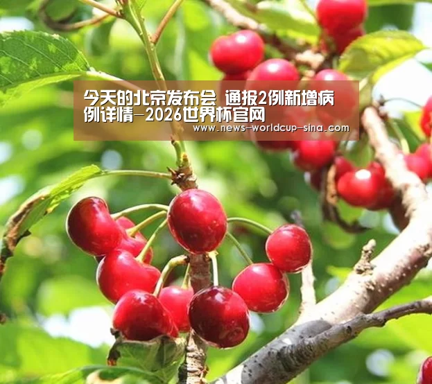 今天的北京发布会 通报2例新增病例详情-2026世界杯官网(图4) 2026世界杯官网